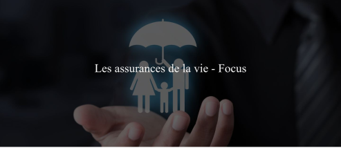 https://www.assurance-online.info